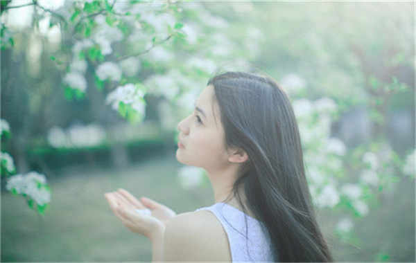 元宝山验血查男女几周可以验(验血查男女结果图)